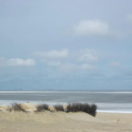 Daire -suedwind- 4sterne-ferienwohnung-cuxhaven *